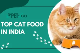 Top Cat Food in India