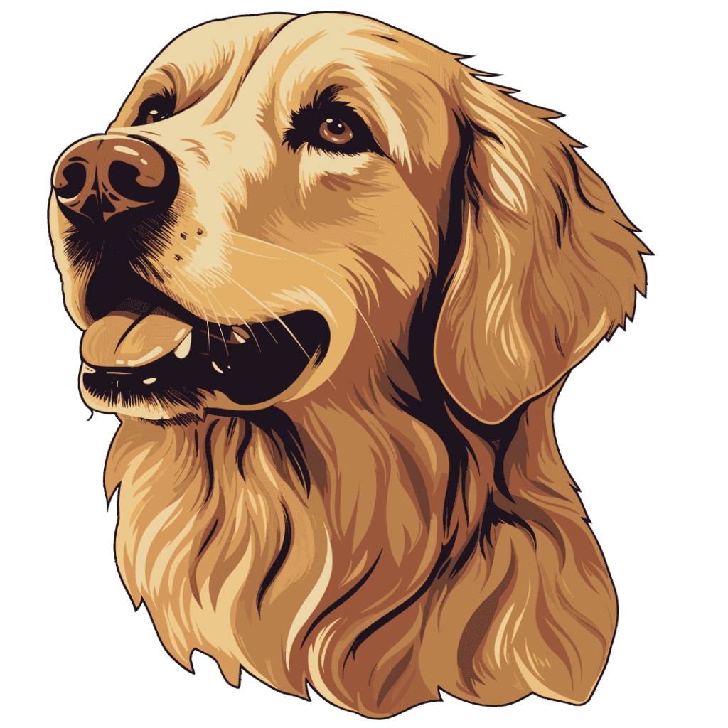 pet x go- hero section