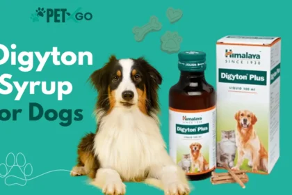 Digyton Syrup for Dogs