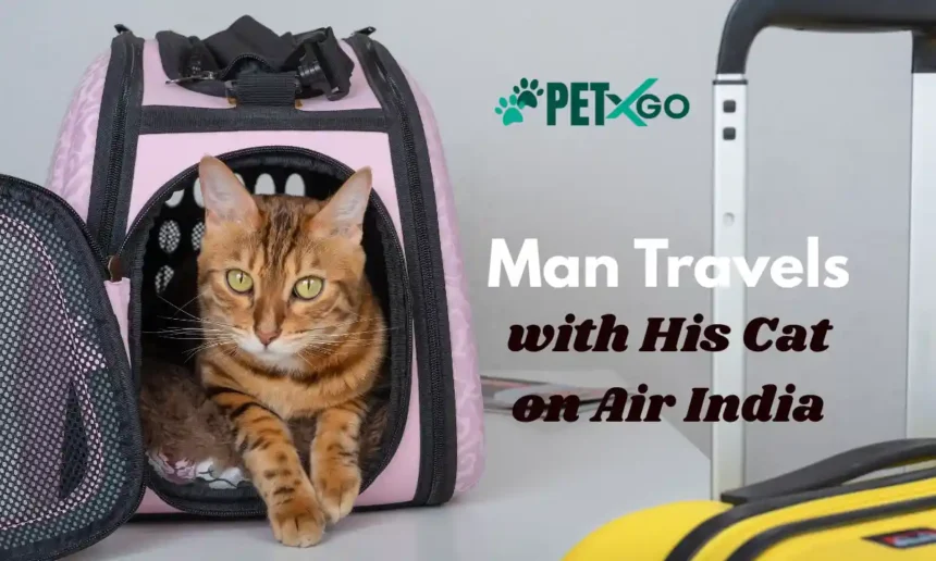 Man Travels with His Cat on Air India